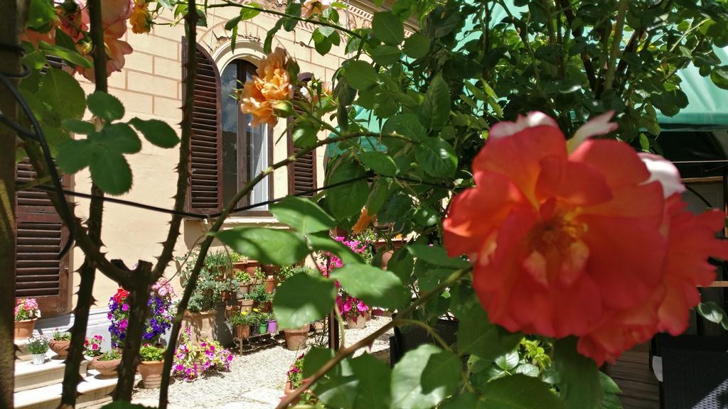 La Chicca B&B 시에나 외부 사진